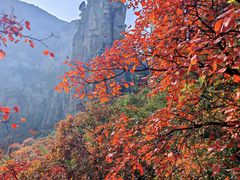 -青龙山生态文化旅游区(慈云寺)