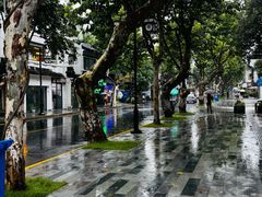 -麻雀咖啡SPARROW COFFEE(十全街店)