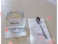 -哈根达斯(石家庄北国店)