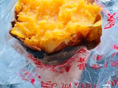 -金洲美食(高新店)