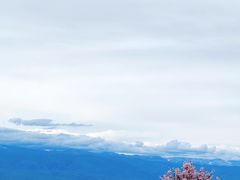 -新疆那拉提国家旅游度假区
