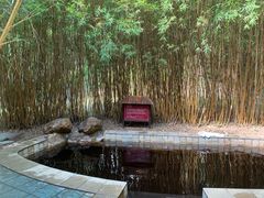 -森波拉火山温泉