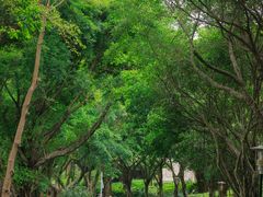 -深圳国际园林花卉博览园