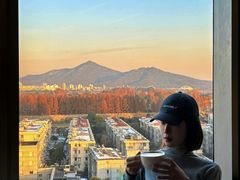 -金茂览秀城