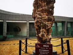 -金钉子远古世界景区
