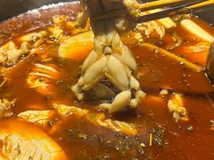 -石锅苗苗鱼(武汉首店)