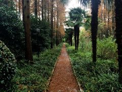 怡沁园度假村-上海怡沁园度假酒店