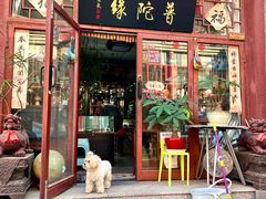 -华声天桥民俗文化园