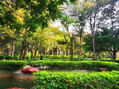 -宋井风景区