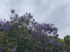-西昌邛海宾馆