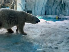 -珠海长隆海洋王国