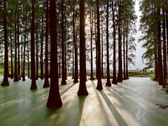 -渌洋湖湿地公园