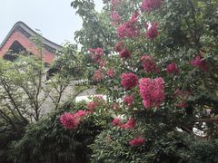 -北京颐和宾馆