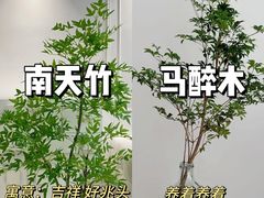 -居丽装饰空间设计(总部)
