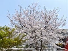 -外高桥保税区南(地铁站)