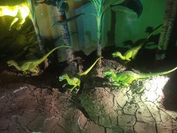 -恐龙探索乐园(磁器口店)