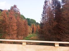 -云溪植物园