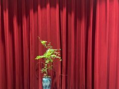 -红顶食府(滨湖九号店)