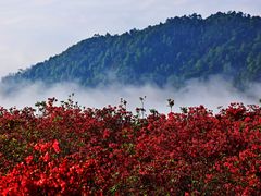 -瑞安圣井山景区