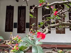 -成都杜甫草堂博物馆