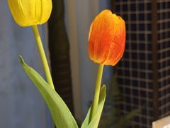 -渔珺石锅鱼·云南菜(天泽街店)