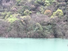 -硗碛藏寨·神木垒景区