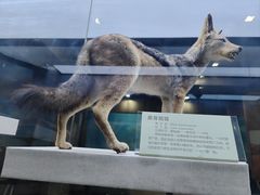 -国家自然博物馆