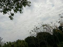 -八仙山公园