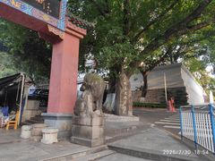 -三峡古玩城(泰古广场店)