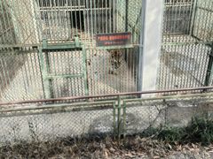 -合肥野生动物园