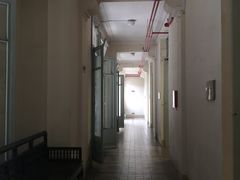 -胡志明市美术馆