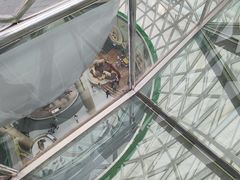 -陕西自然博物馆