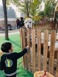 -萌宠亲子动物乐园(槐房万达店)