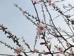 -梁鸿国家湿地公园