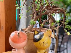 -豆舞咖啡(民乐路店)