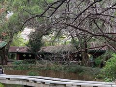 -九龙公园