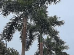 -广州市白云山风景名胜区