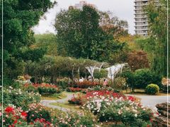 -人民公园(罗湖区)