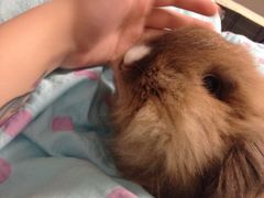 -雨林宠物医院 非犬猫异宠专科