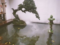 -觀芷隐轩