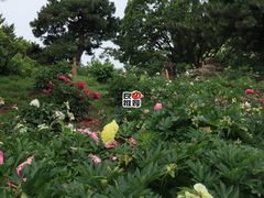 -国家植物园南园