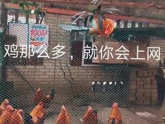 -渝宗老灶火锅(时代天街店)