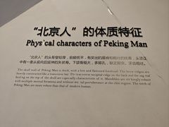 -北京周口店北京人遗址博物馆