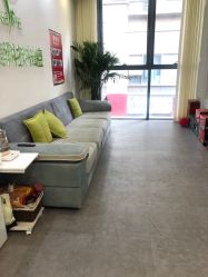 -莱可美科技美肤