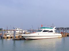 -日照海滨国家森林公园