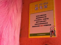 -不可思议减压馆·解压博物馆·摔碗发泄·团建定制