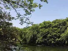 -上海共青森林公园