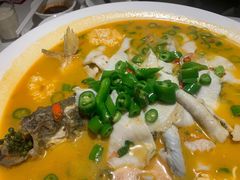 鲜椒豆花鲈鱼-川味堂·四川豆花(八卦岭店)