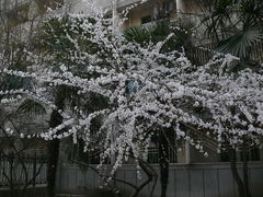 -陕西师范大学(雁塔校区)