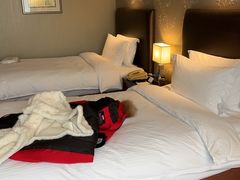 -北京西单美爵酒店-融轩中餐厅